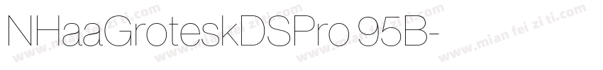 NHaaGroteskDSPro 95B字体转换